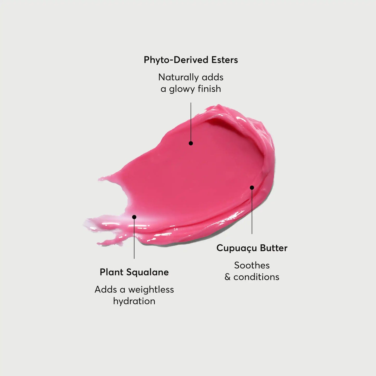 phyto-glow-lip-balm-camellia-f0 NATR-60075-Alt-Images-Phyto-Glow-Lip-Balm-Camellia-01.webp